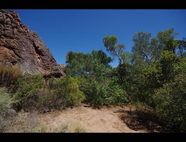 LAND FOR SALE IN PIKETBERG RURAL